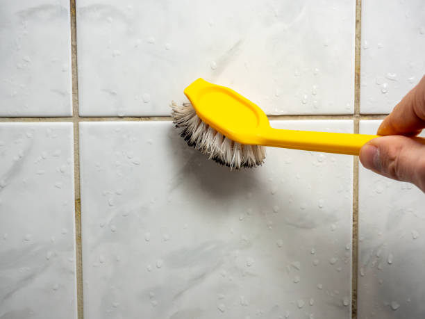 Best Emergency Mold Removal  in Flagtown, NJ