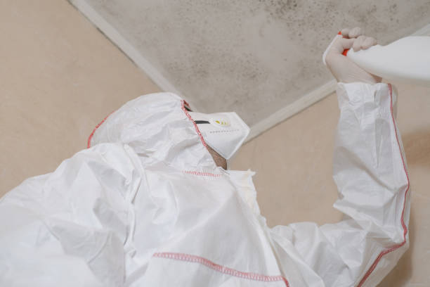 Best Attic Mold Removal  in Flagtown, NJ