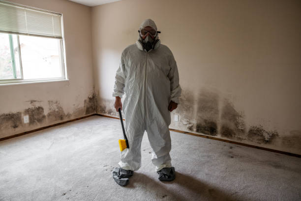 Best Mold Cleaning Services  in Flagtown, NJ